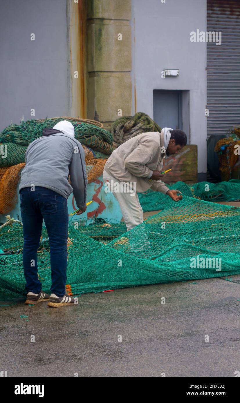 10 March 2022 Young immigrant crewmen mending fishing nets on the quayside at Ardglass fishing port in County Down Northern Ireland on a cold and wet Stock Photo