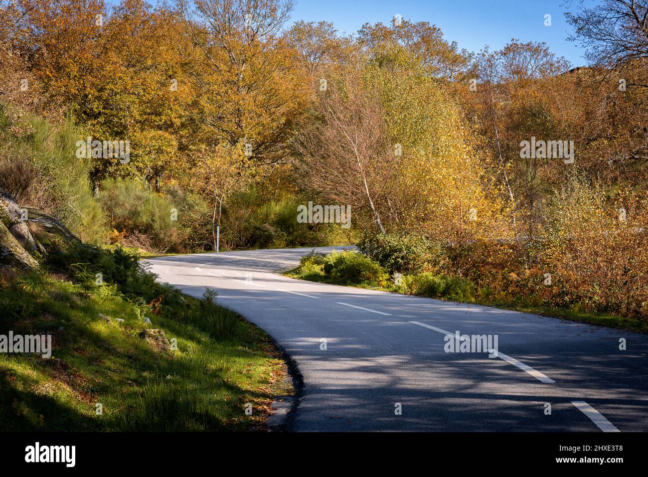 Road with curves on an autumn fall landscape Stock Photo