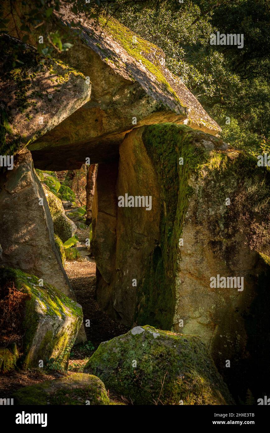 Path inside granite rocks full with moss on a natural landscape Stock Photo