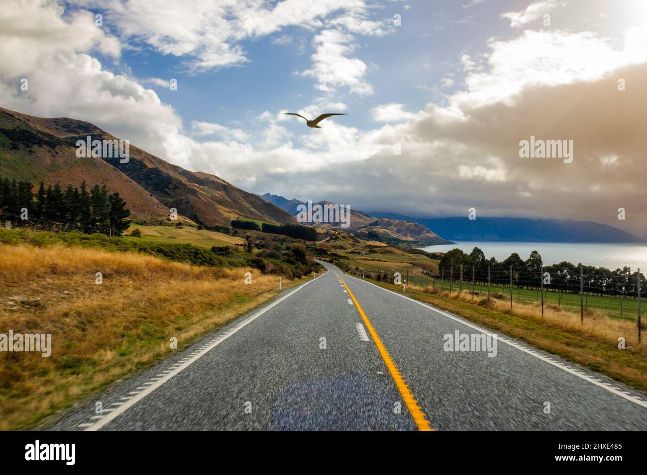 SH 6 alongside the shores of Lake Hawea in the remote rural countryside of NZ south Island Stock Photo