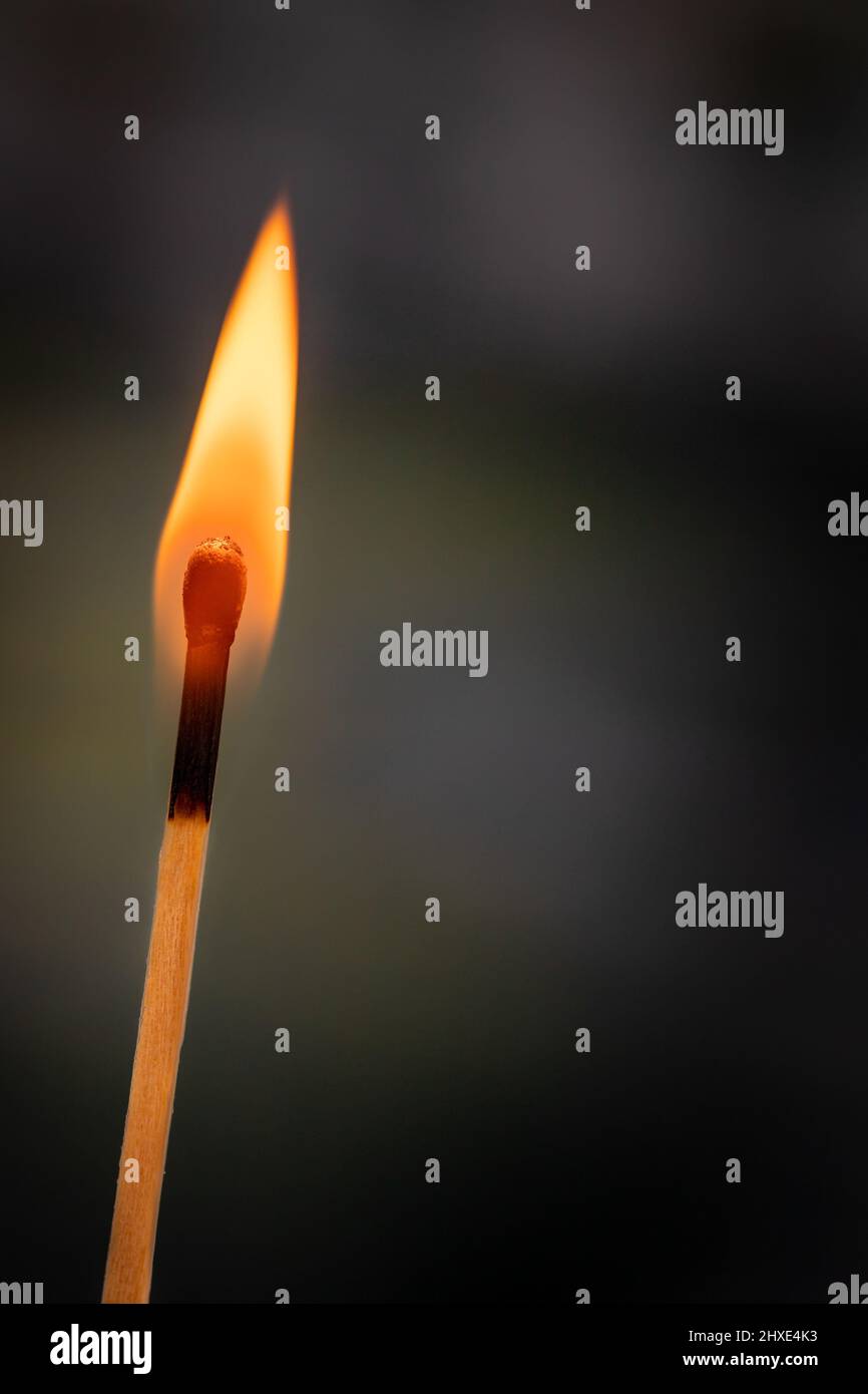 Single Match Stick flame with room for copy Stock Photo Alamy