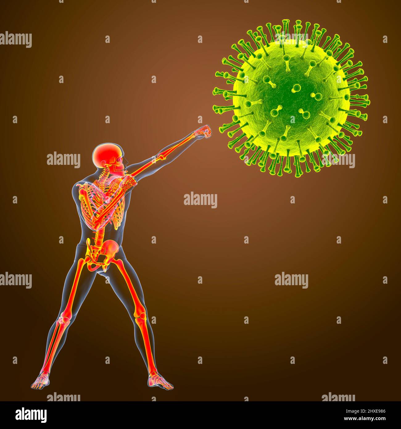 Fighting a virus, conceptual illustration Stock Photo Alamy