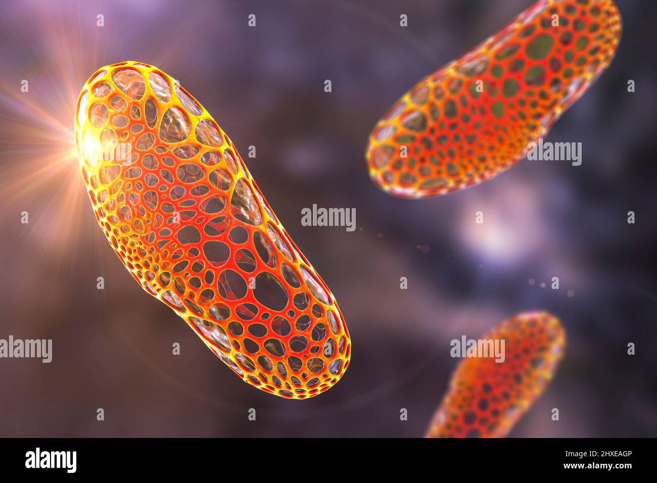 Destruction of bacteria, conceptual illustration Stock Photo - Alamy