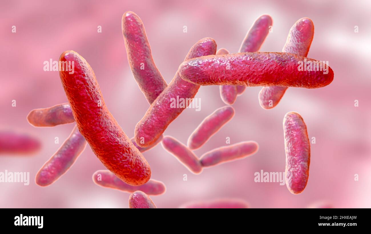 Extremophilic bacteria hires stock photography and images Alamy