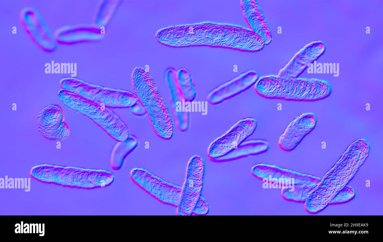 Sphingomonas bacteria, illustration Stock Photo Alamy
