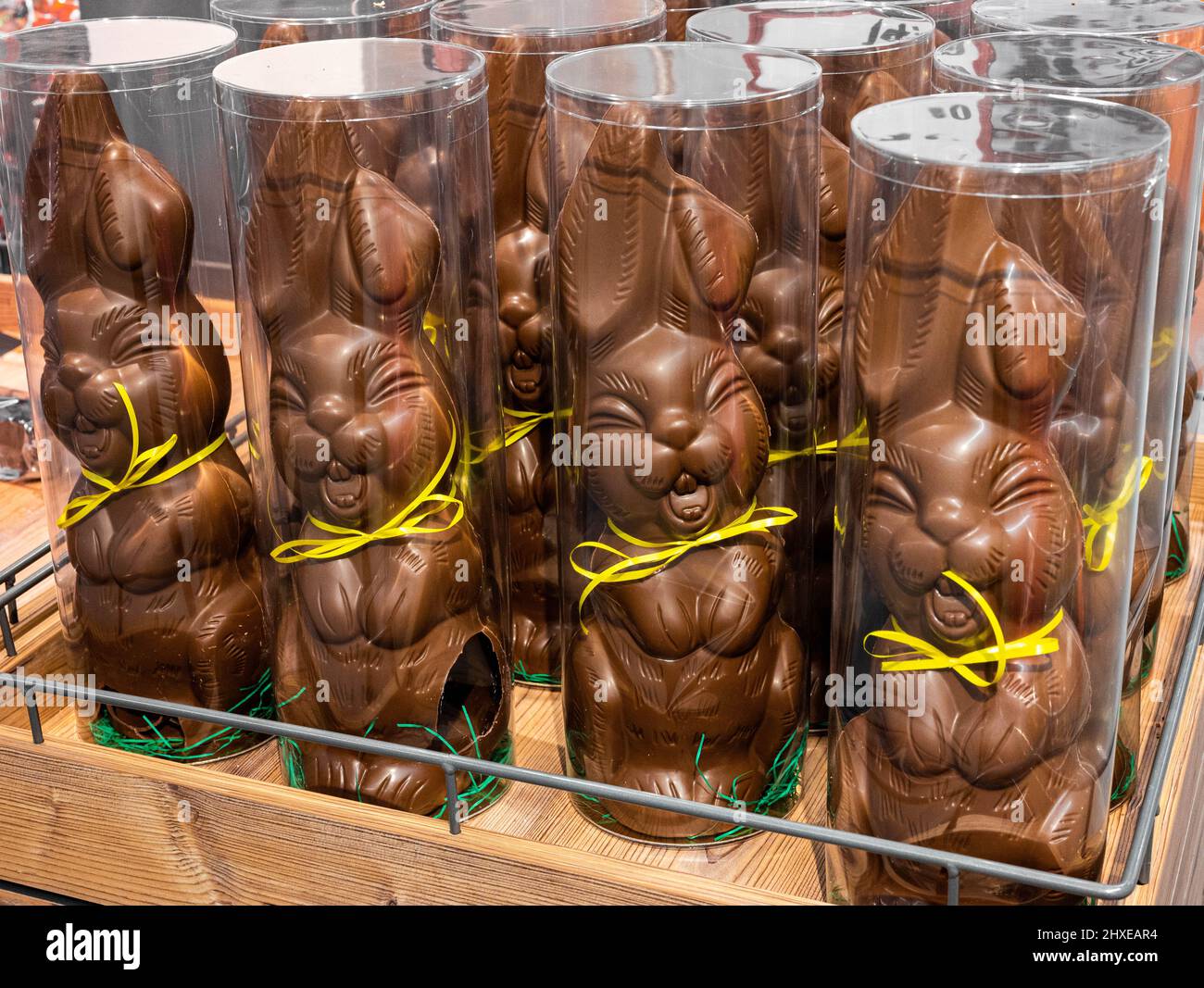 Chocolate Easter bunny in supermarket to sell before Easter 2022 Stock Photo Alamy
