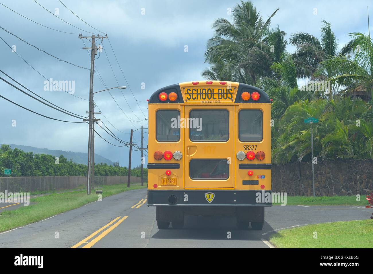 Bus surf hi hi-res stock photography and images - Alamy