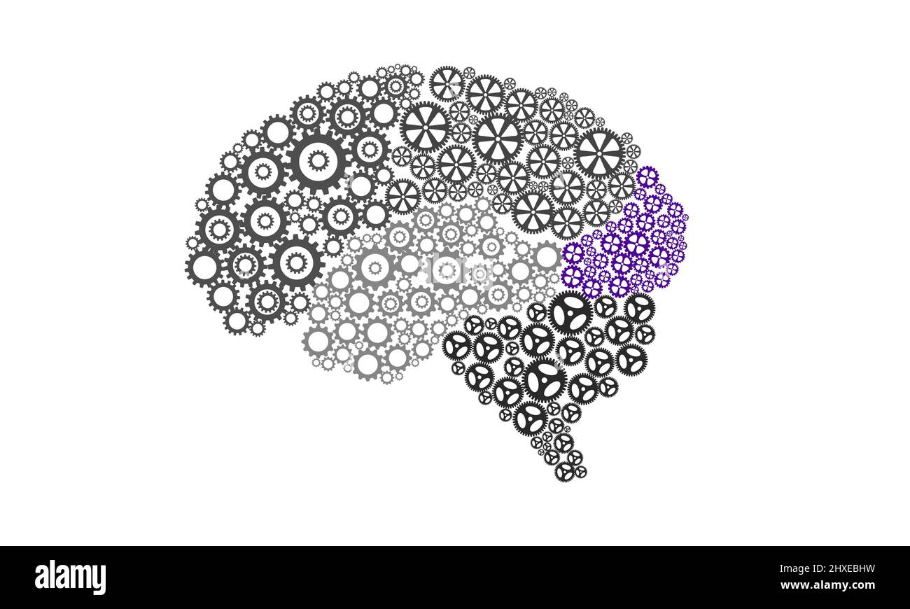 Occipital Lobe of Human brain illustration with Gear icon Stock Photo