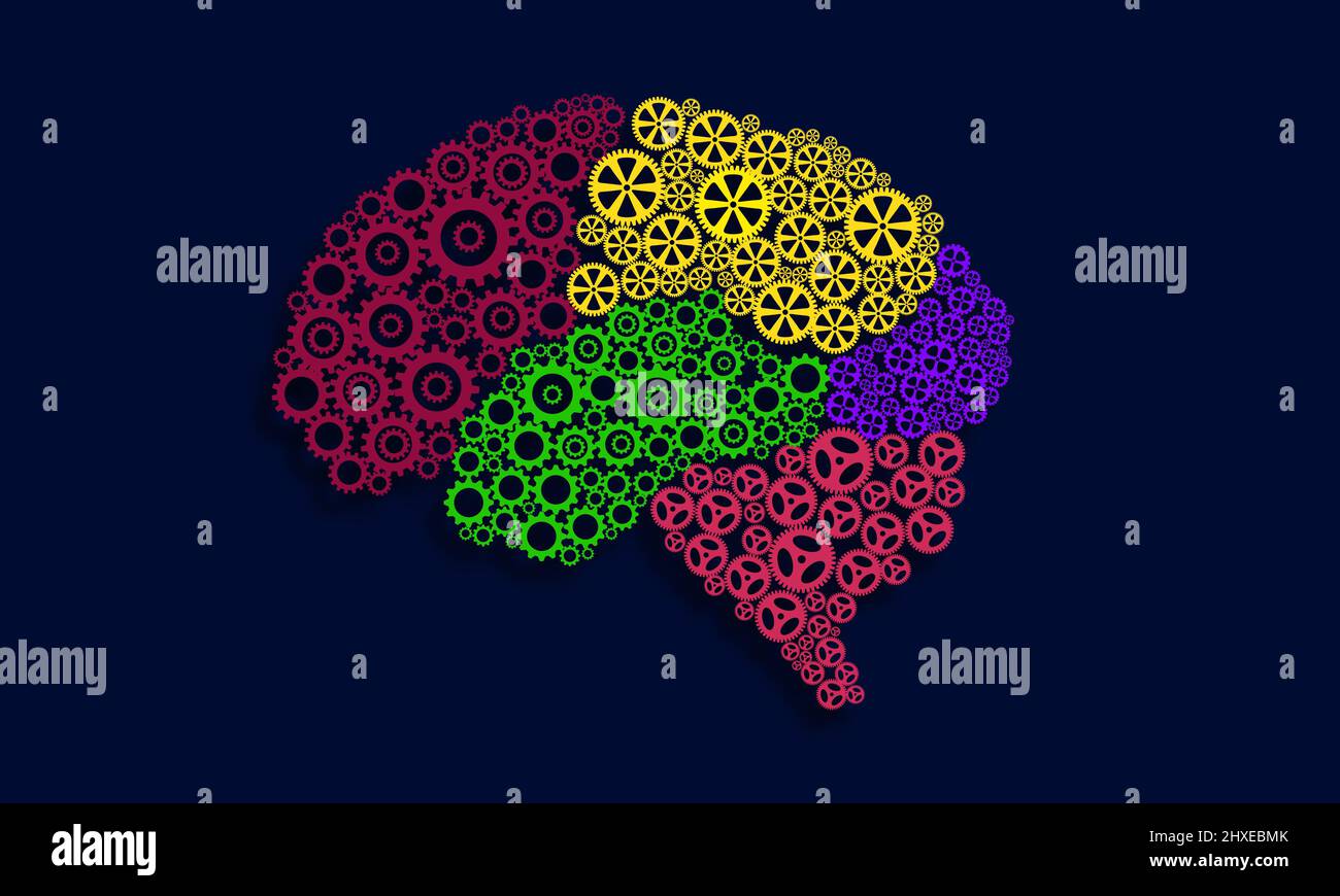 Lobes of the brain. human Brain anatomy parts with gears. Science and creativity Concept Stock Photo