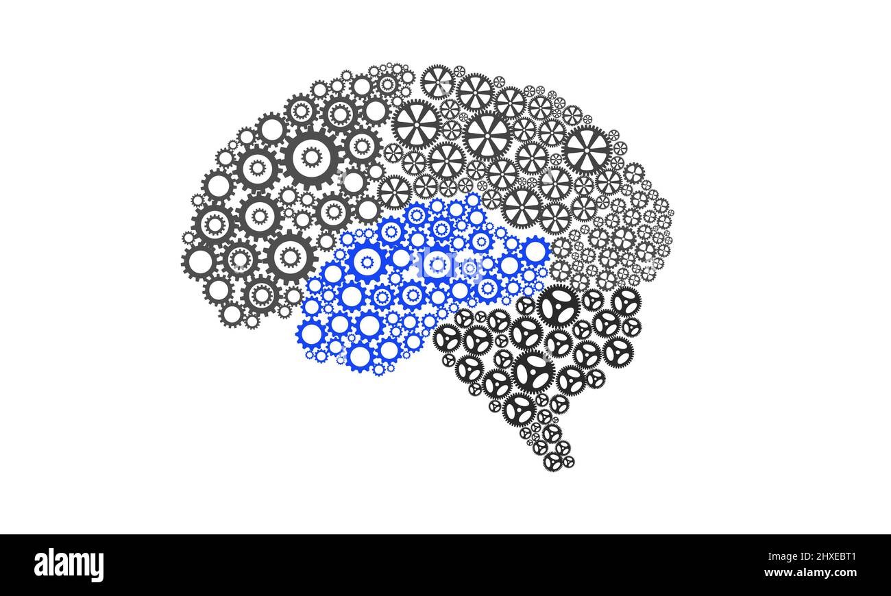 Temporal Cerebellum Lobe of Human brain illustration with Gear icon Stock Photo