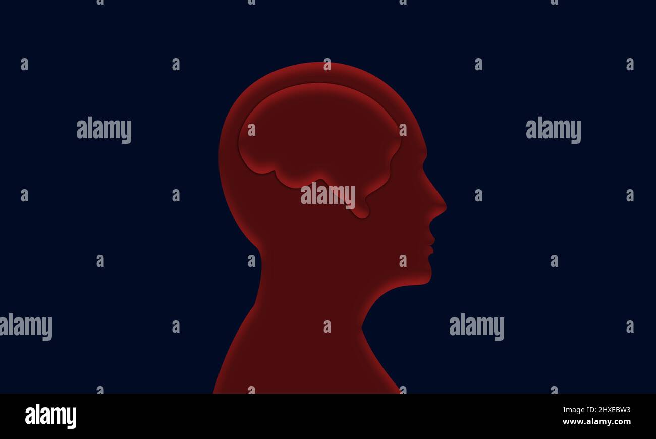 Head silhouette with Brain illustration Stock Photo - Alamy