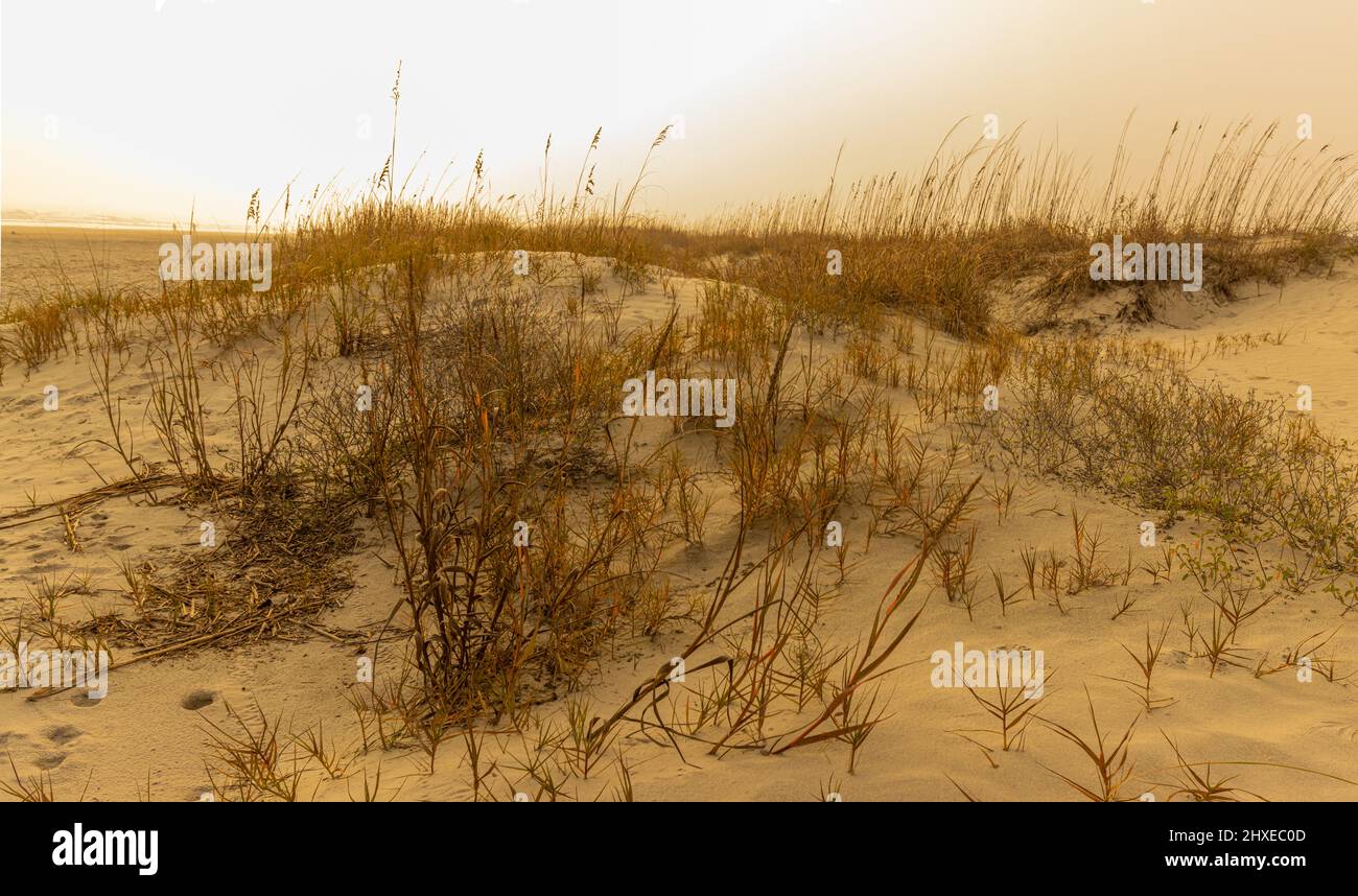 Foggy Morning Sky and Sand Dunes of Kiawah Beach, Kiawah Island, South Carolina, USA Stock Photo