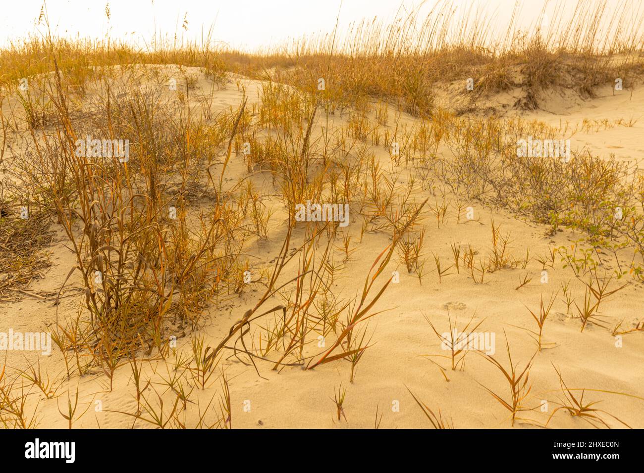 Foggy Morning Sky and Sand Dunes of Kiawah Beach, Kiawah Island, South Carolina, USA Stock Photo