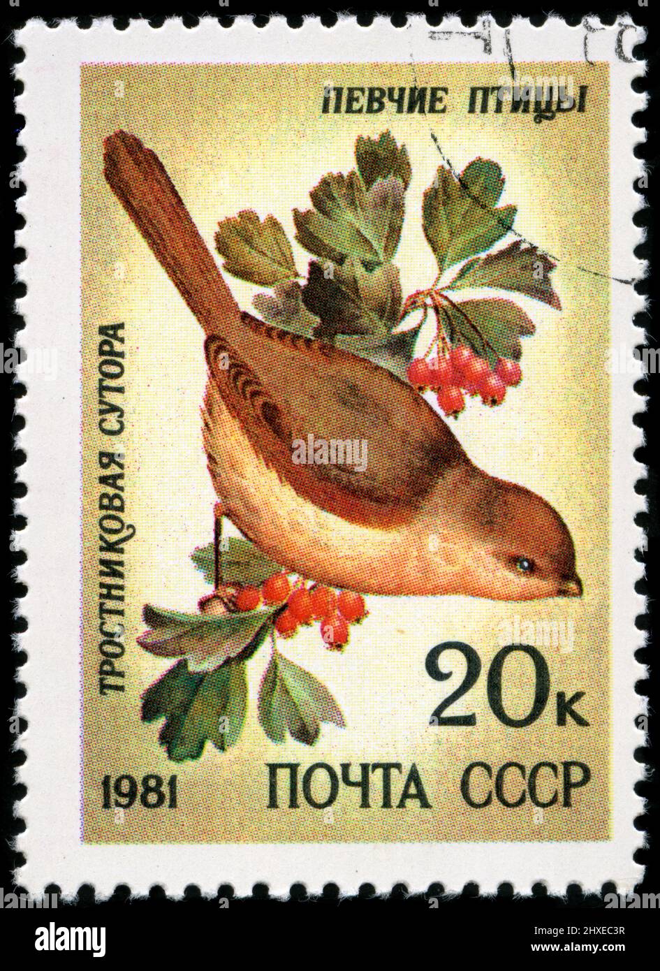 Postage stamp from Russia in the Song Birds series issued in 1981 Stock Photo