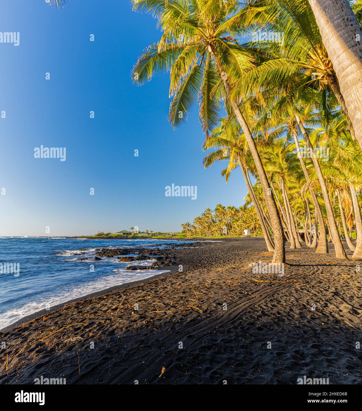 My Image 30