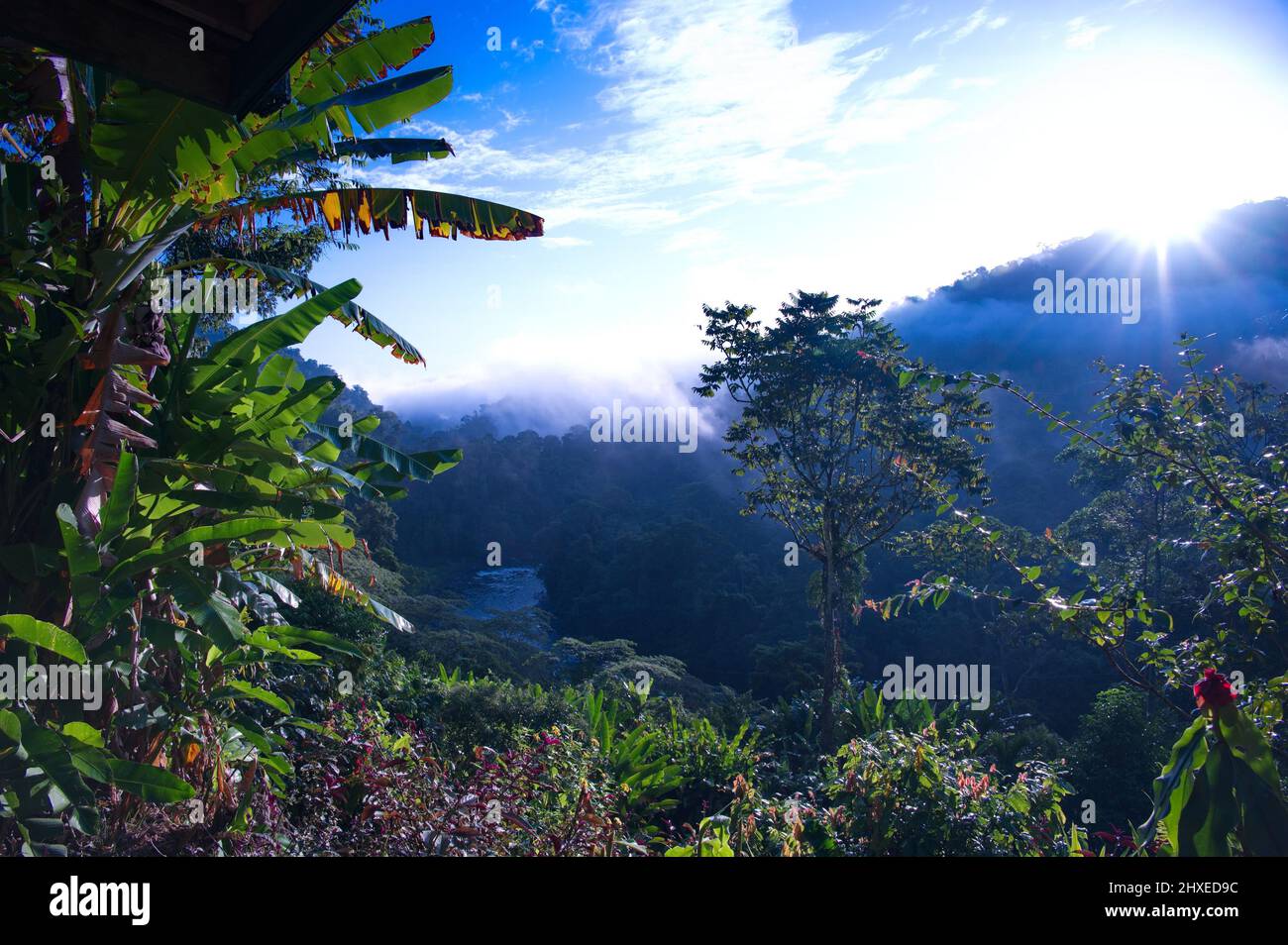 Beautiful sunrise in Costa Rica jungle Stock Photo - Alamy