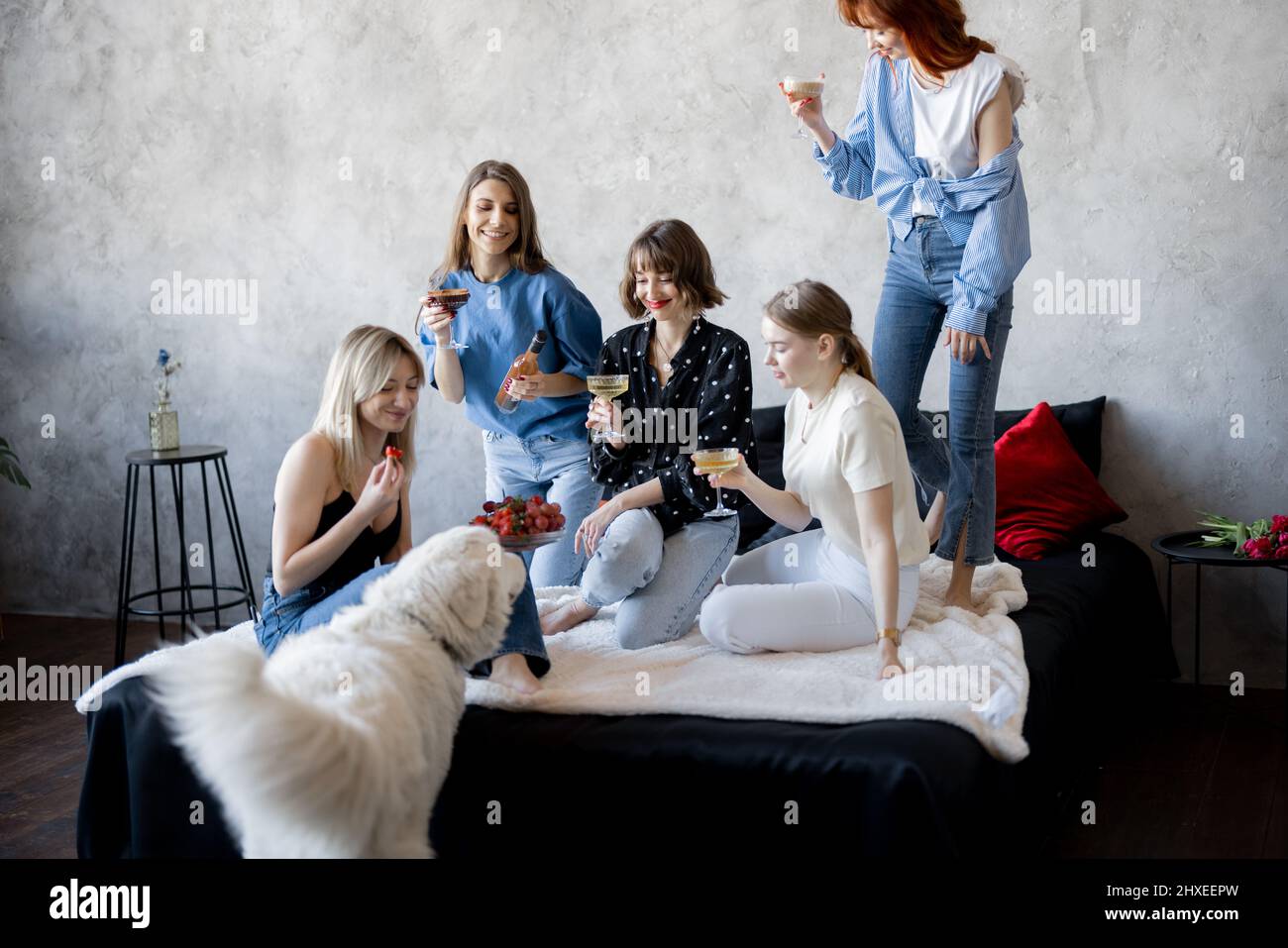 Four young adult girlfriends dressed casual having fun, sitting with drinks and playing with dog on bed. Caucasian women celebrating and having party at home. Concept of female friendship, beauty and happiness Stock Photo