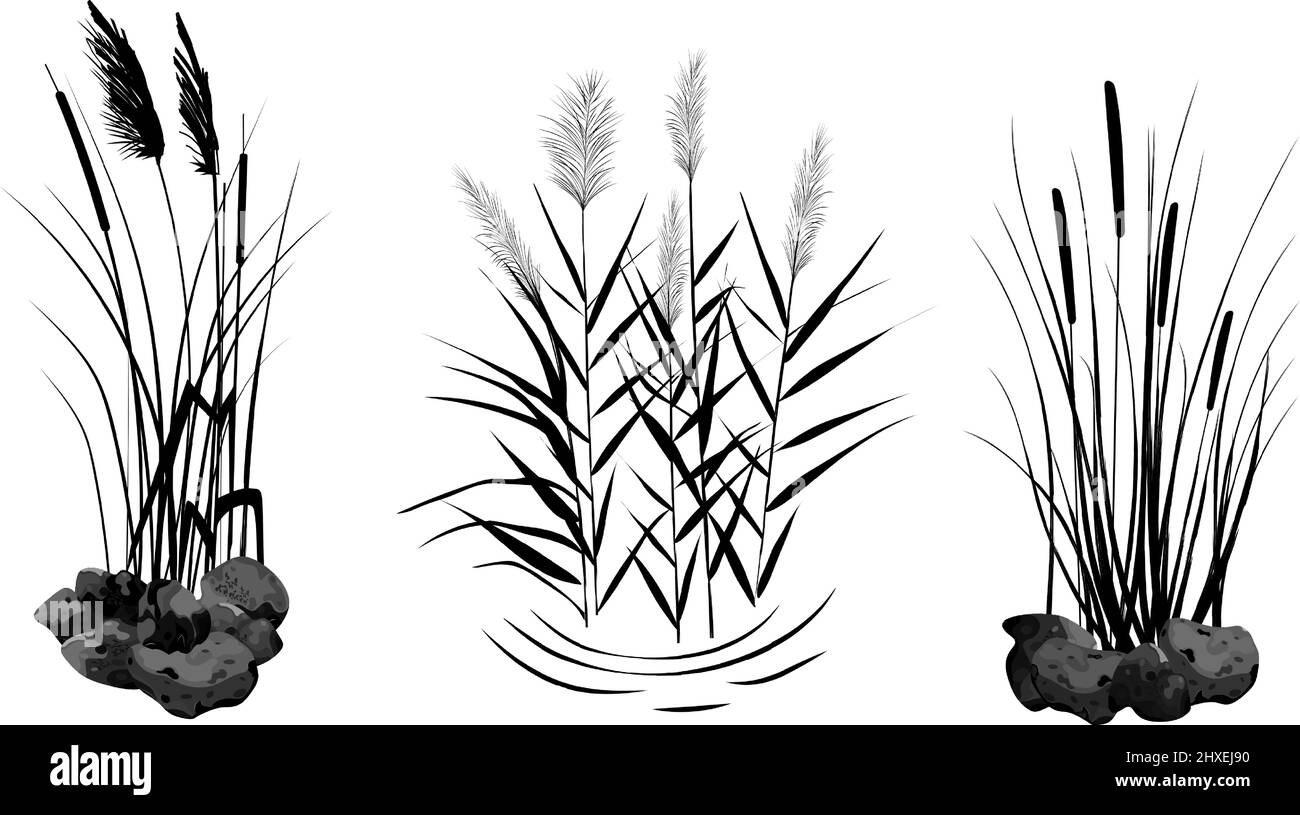 Bunch small stone on Black and White Stock Photos & Images - Alamy