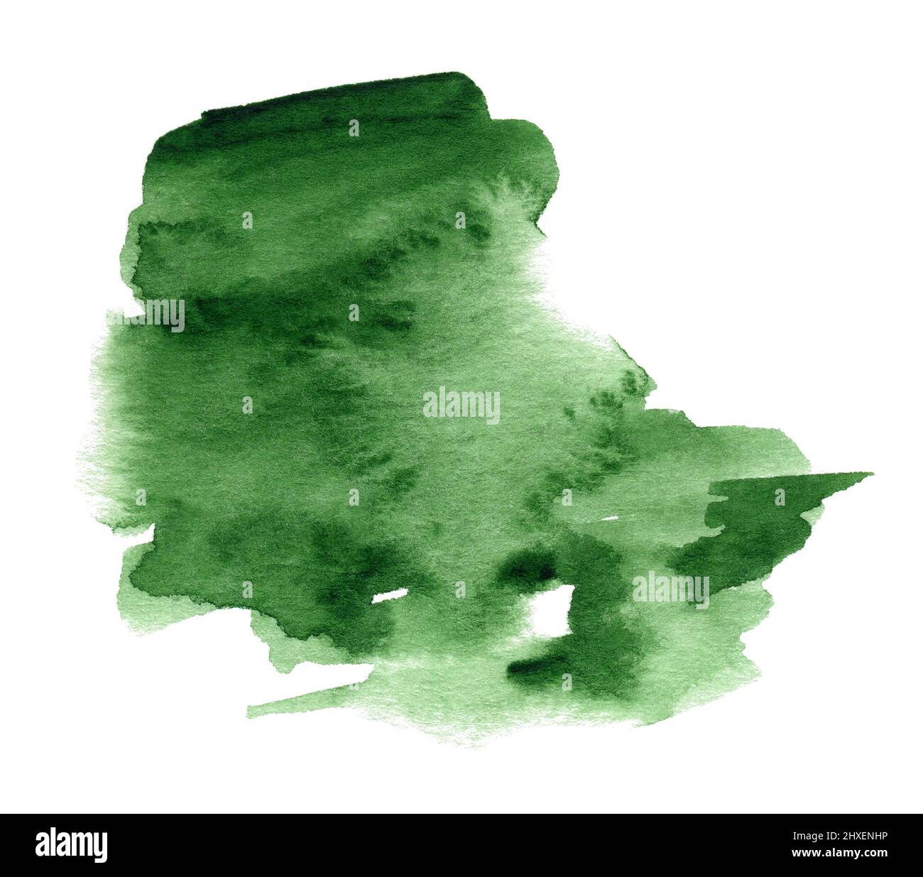 Green watercolor hand drawn shape on white paper grain texture Stock ...