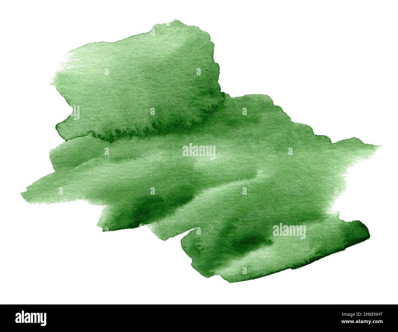 Green watercolor hand drawn shape on white paper grain texture Stock ...