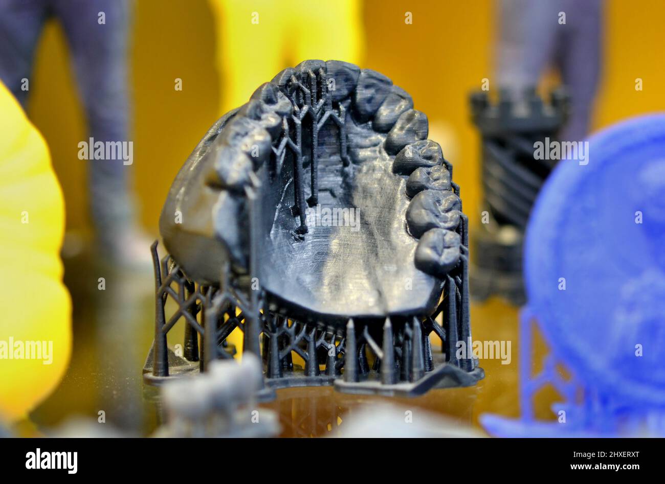 The lower jaw of a man, created on a 3d printer from a photopolymer material Stock Photo