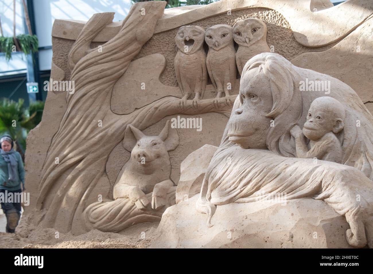 Binz, Germany. 11th Mar, 2022. The sand sculpture with various animals can  be seen in the sand sculpture show 