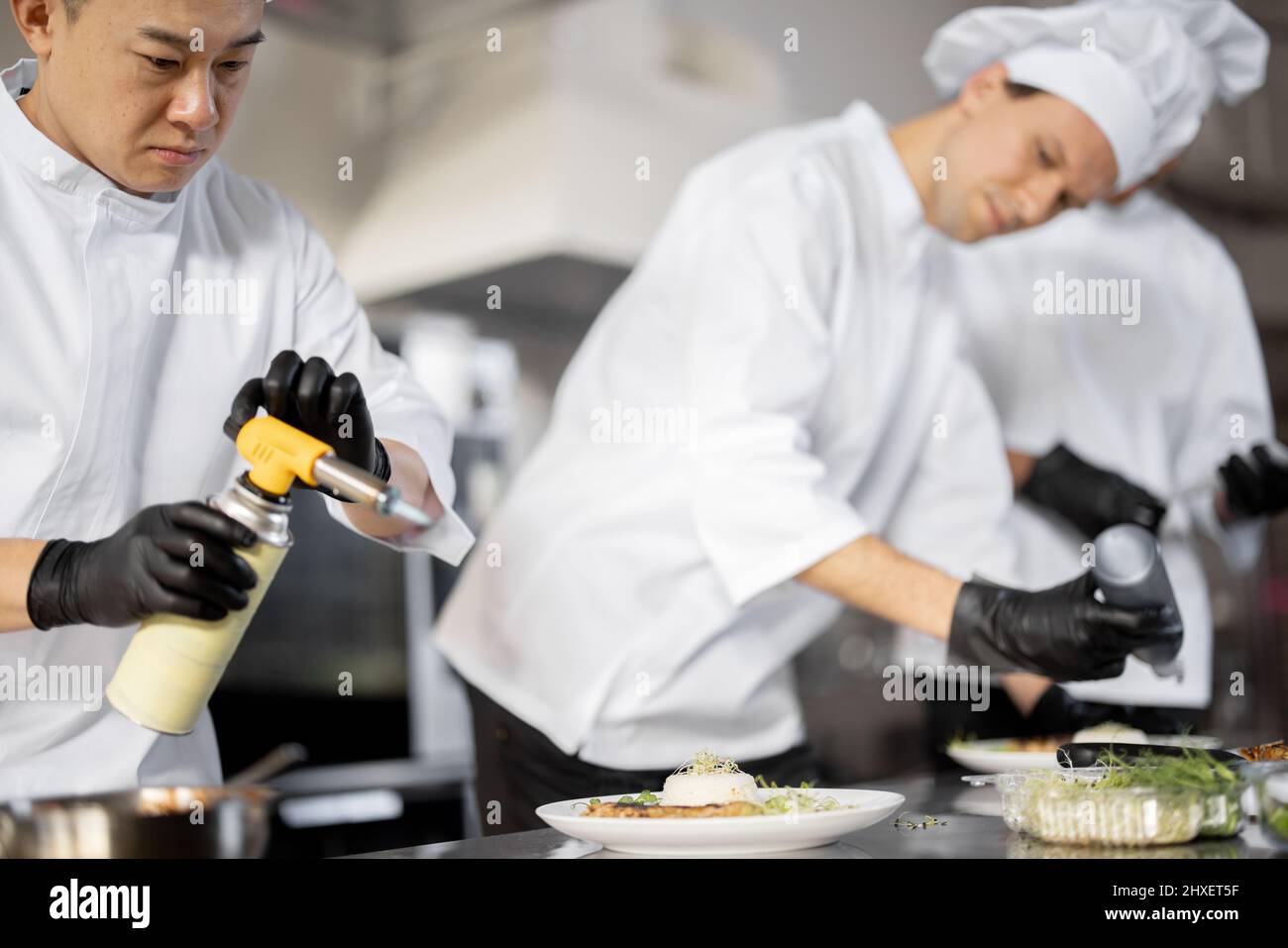 Multiracial group of cooks finishing main courses while working ...