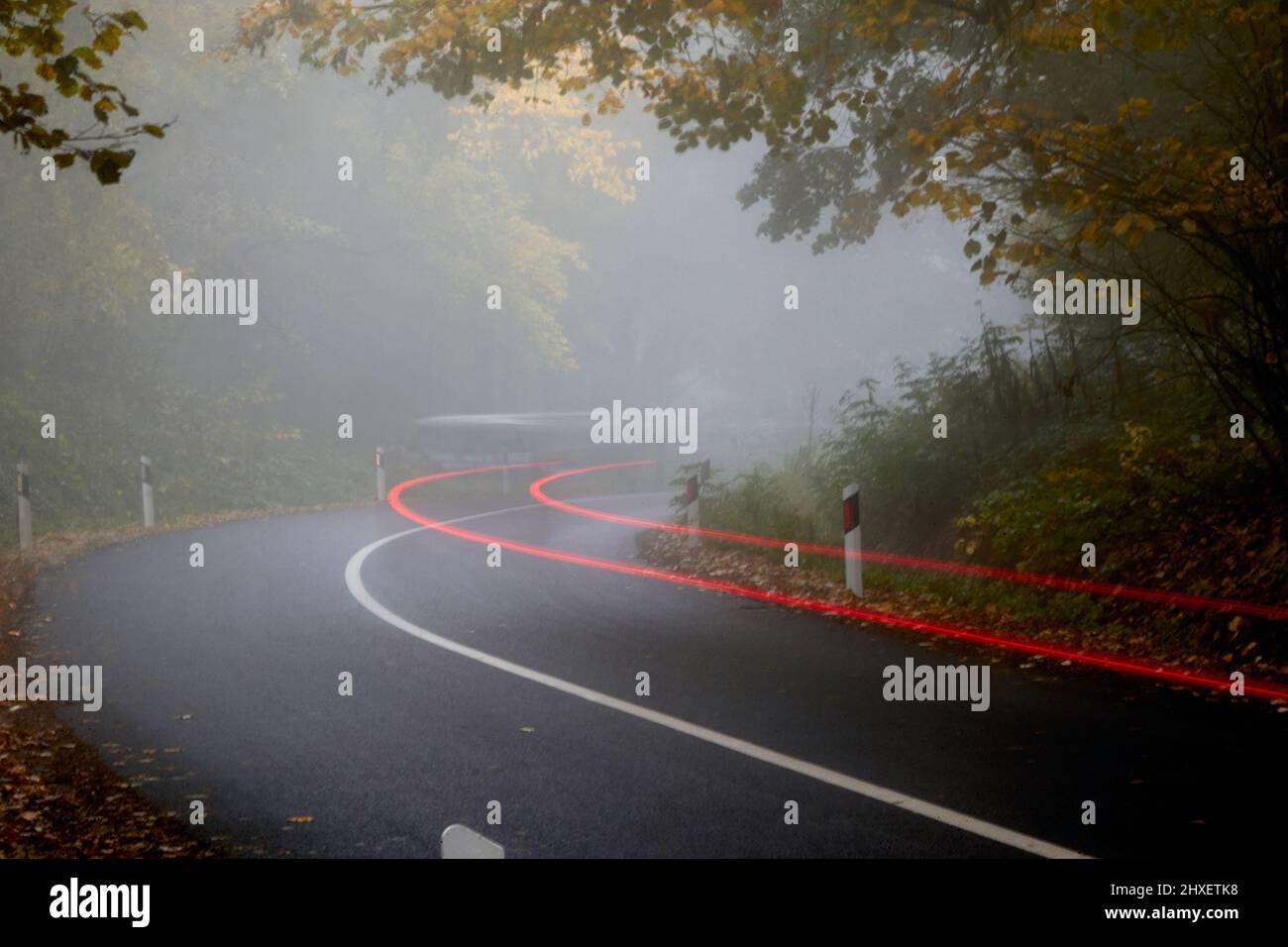 Silhouette of a car on the road through the forest on a foggy autumn day. Nature, road, trip Stock Photo