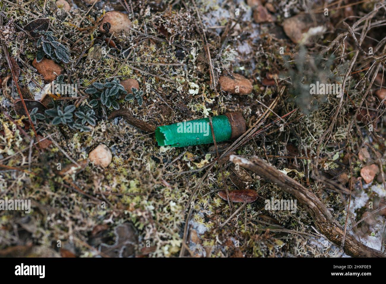 One shotgun cartridge used on forest floor Stock Photo