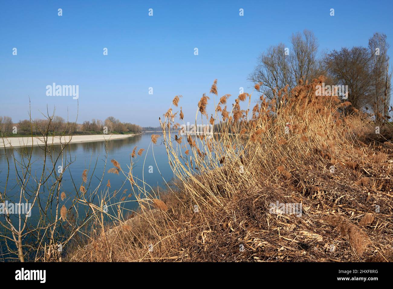 Polesine Parmense (Pr), Italy,  the river Po Stock Photo