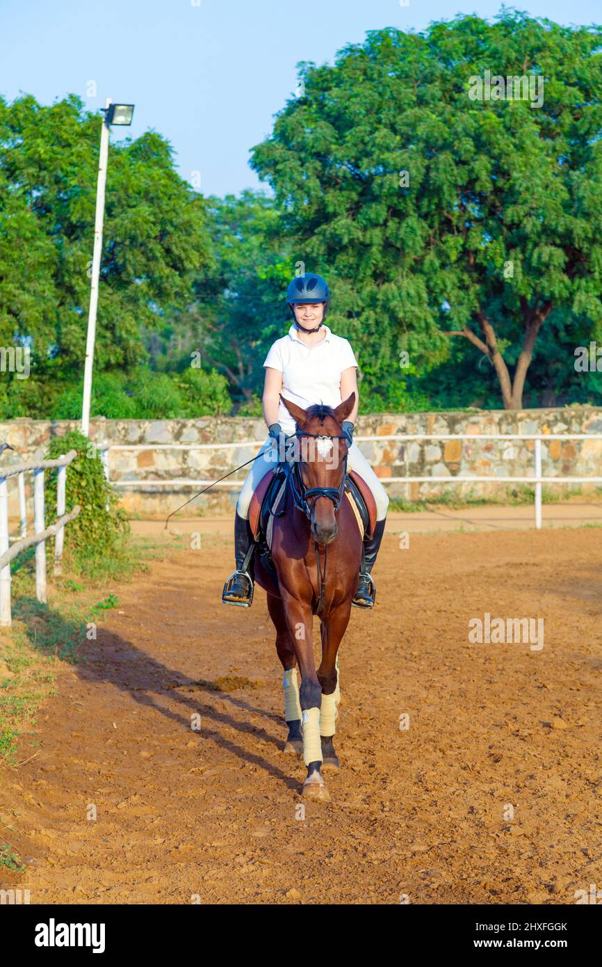 woman riding her horse in the parcour Stock Photo Alamy