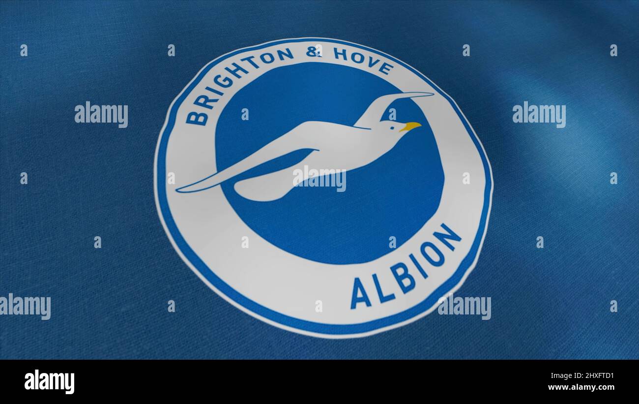 Brighton & Hove Albion Flag 5ft X 3ft – Official Football Club, Great For Match Day