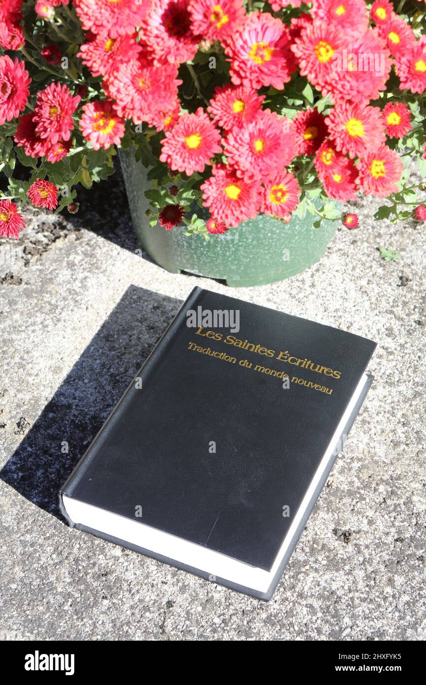 Les Saintes Ecritures. Traduction du monde