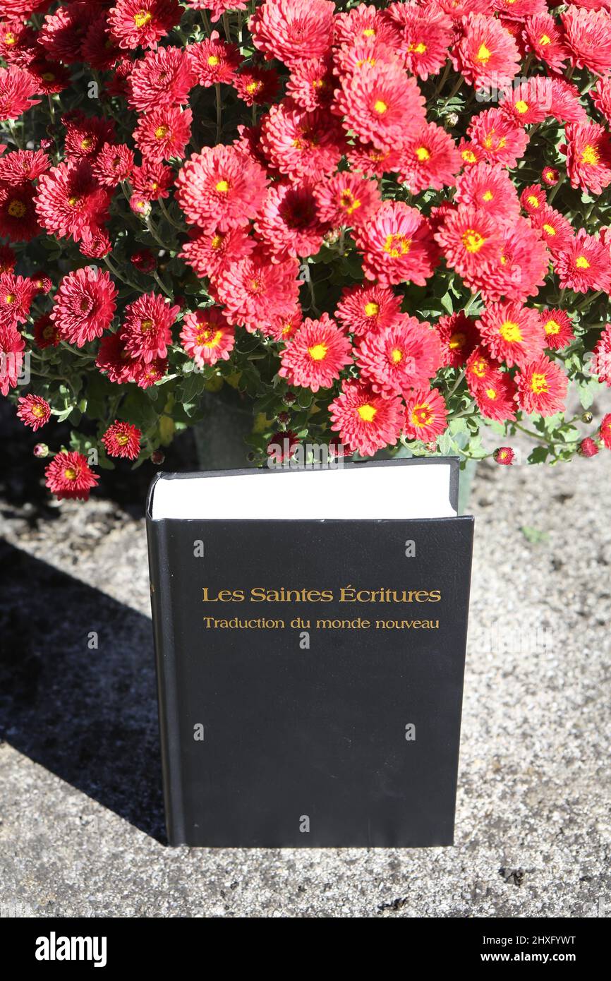Les Saintes Ecritures. Traduction du monde