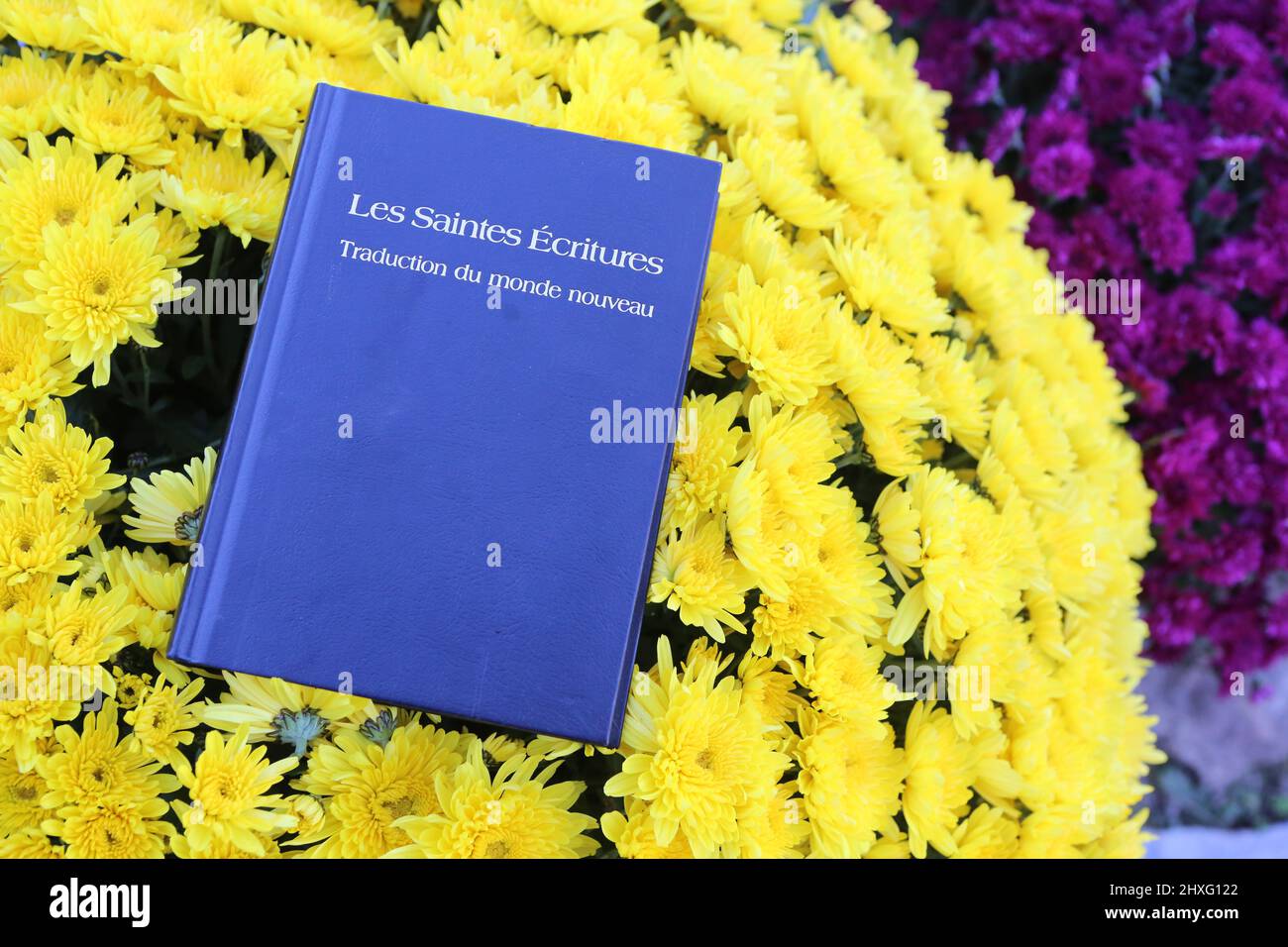 Les Saintes Ecritures. Traduction du monde