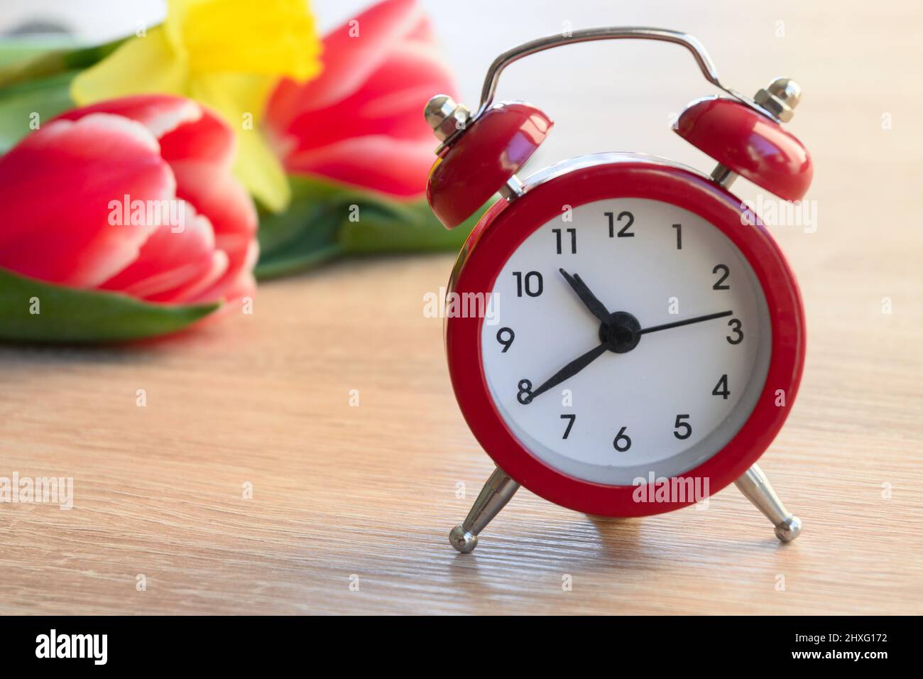Alarm clock with fresh flowers. Spring summer time change Stock Photo