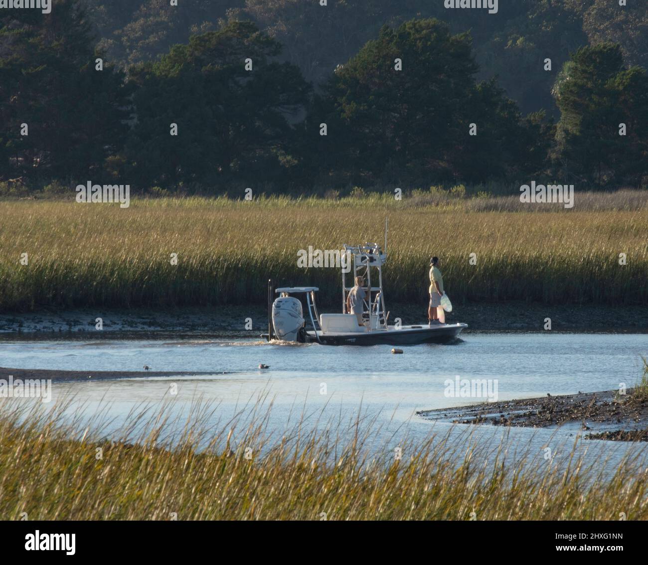 Net Fishing From A Boat 2 Among The Marshes At Ocean Isle, NC Stock Photo Alamy