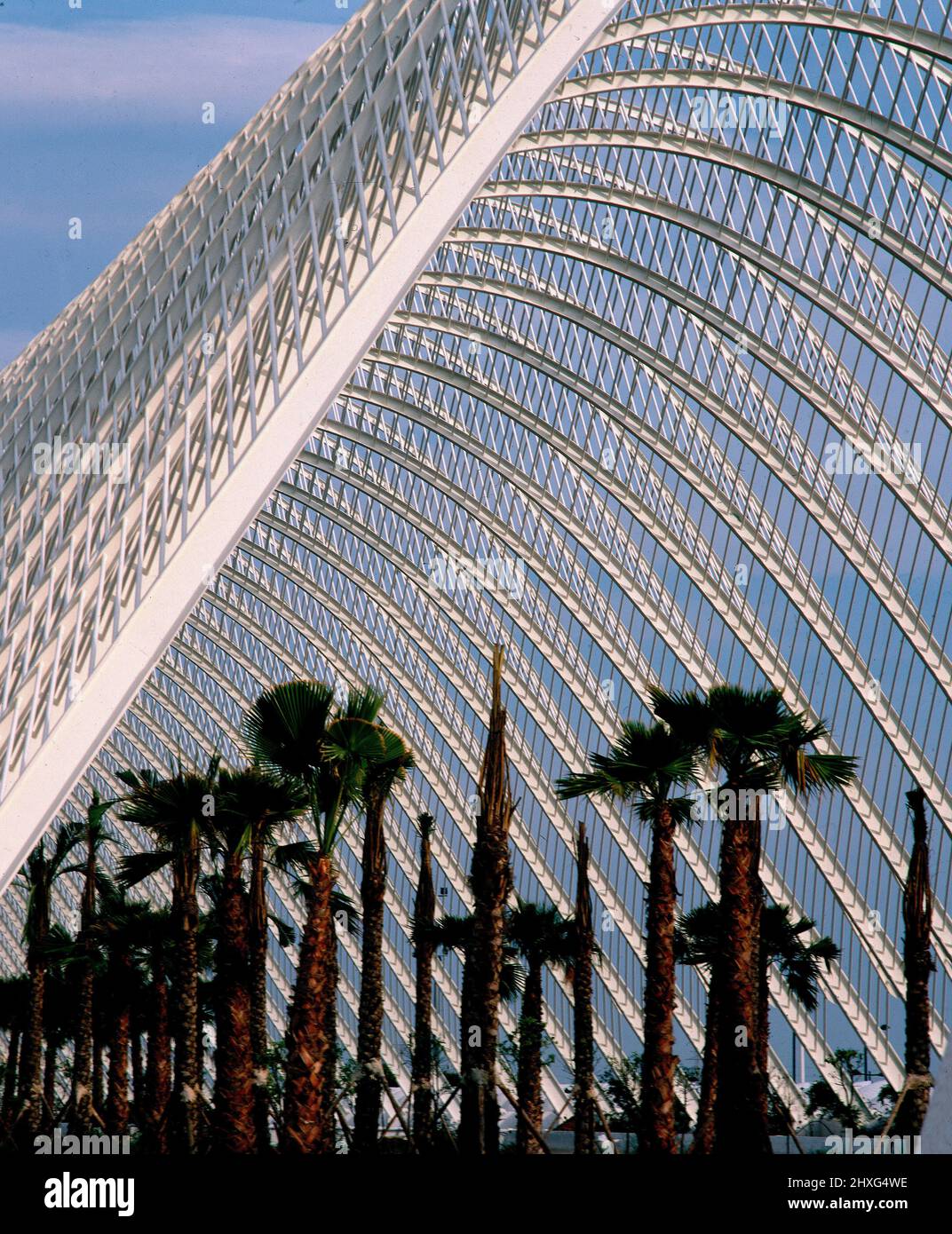 PARTE SUPERIOR DE L' UMBRACLE - PALMERAS EN EL JARDIN - S XXI. Author ...