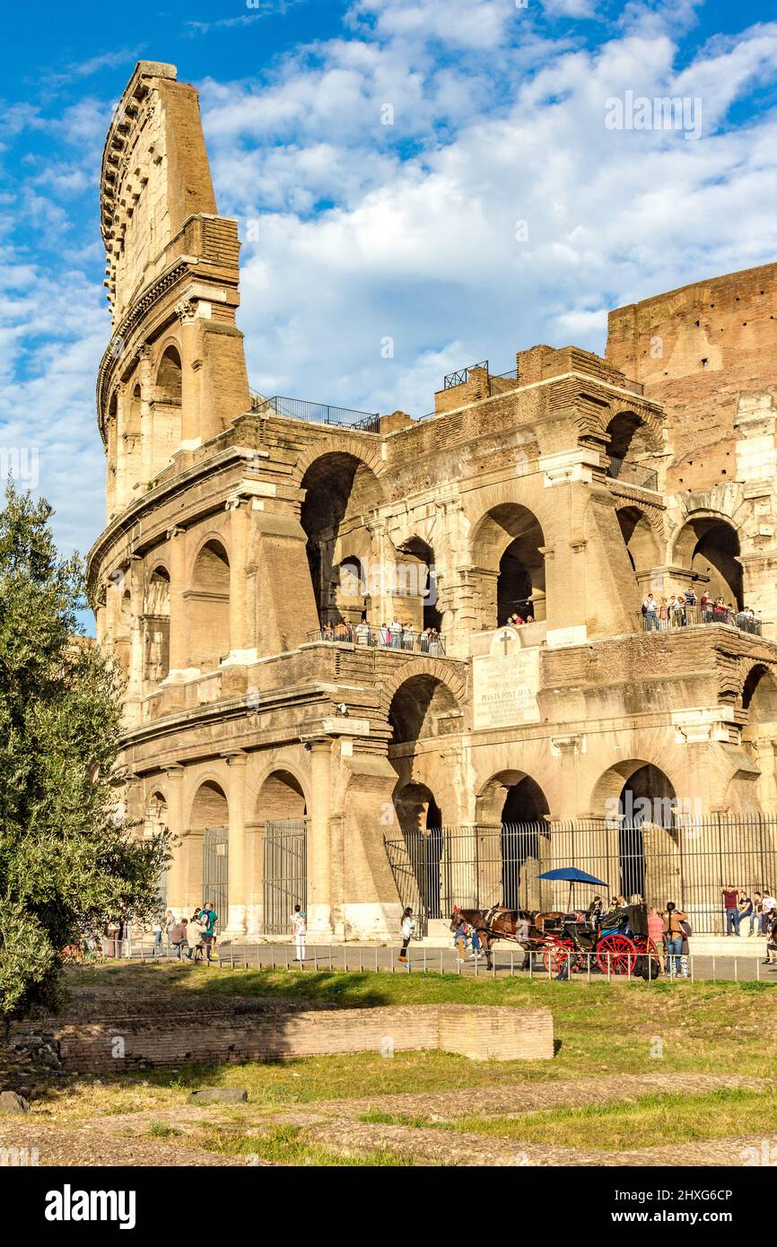 Coliseum rome hi-res stock photography and images - Alamy