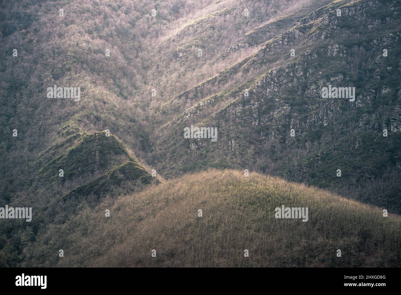 Shale outcrops rise from extensive native forests in the Courel Mountains Geopark in Galicia Stock Photo