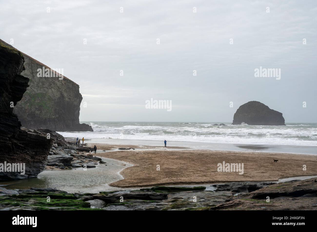 Trebarwith Stand beach in winter holidays with distant people and dog on a beach. Stock Photo