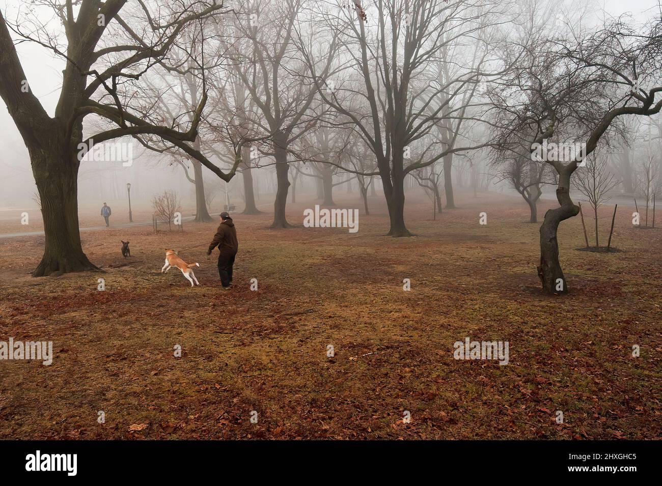 Walking the dog at Forest Park in Queens New York City Stock Photo