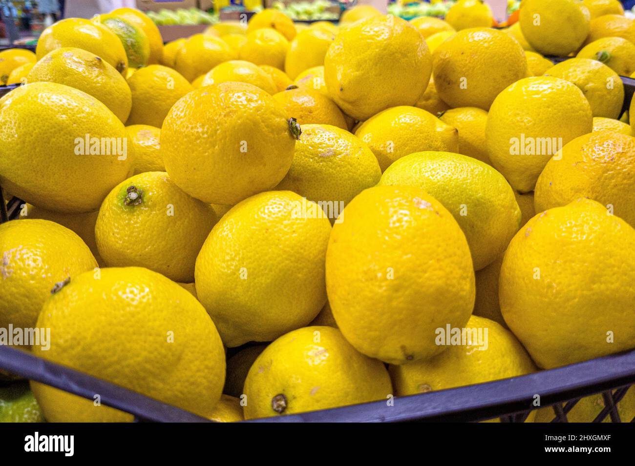 Fresh lemons are in a drawer in the store Stock Photo