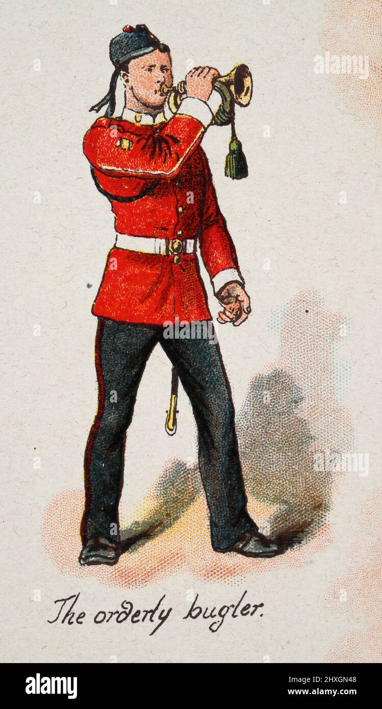 Vintage illustration of Army bugler blowing the bugle, Victorian British Military 19th Century Stock Photo