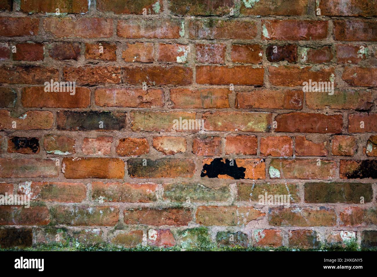 Image of a Brick Wall, Piece By Piece, Brick by Brick, Wall, Solid