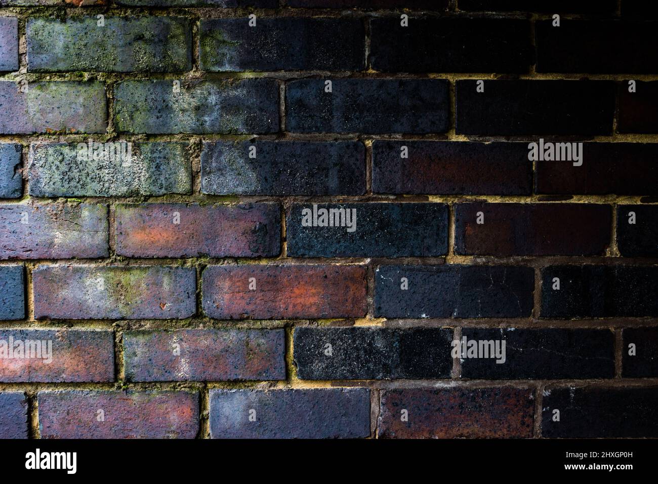 Image of a Brick Wall, Piece By Piece, Brick by Brick, Wall, Solid
