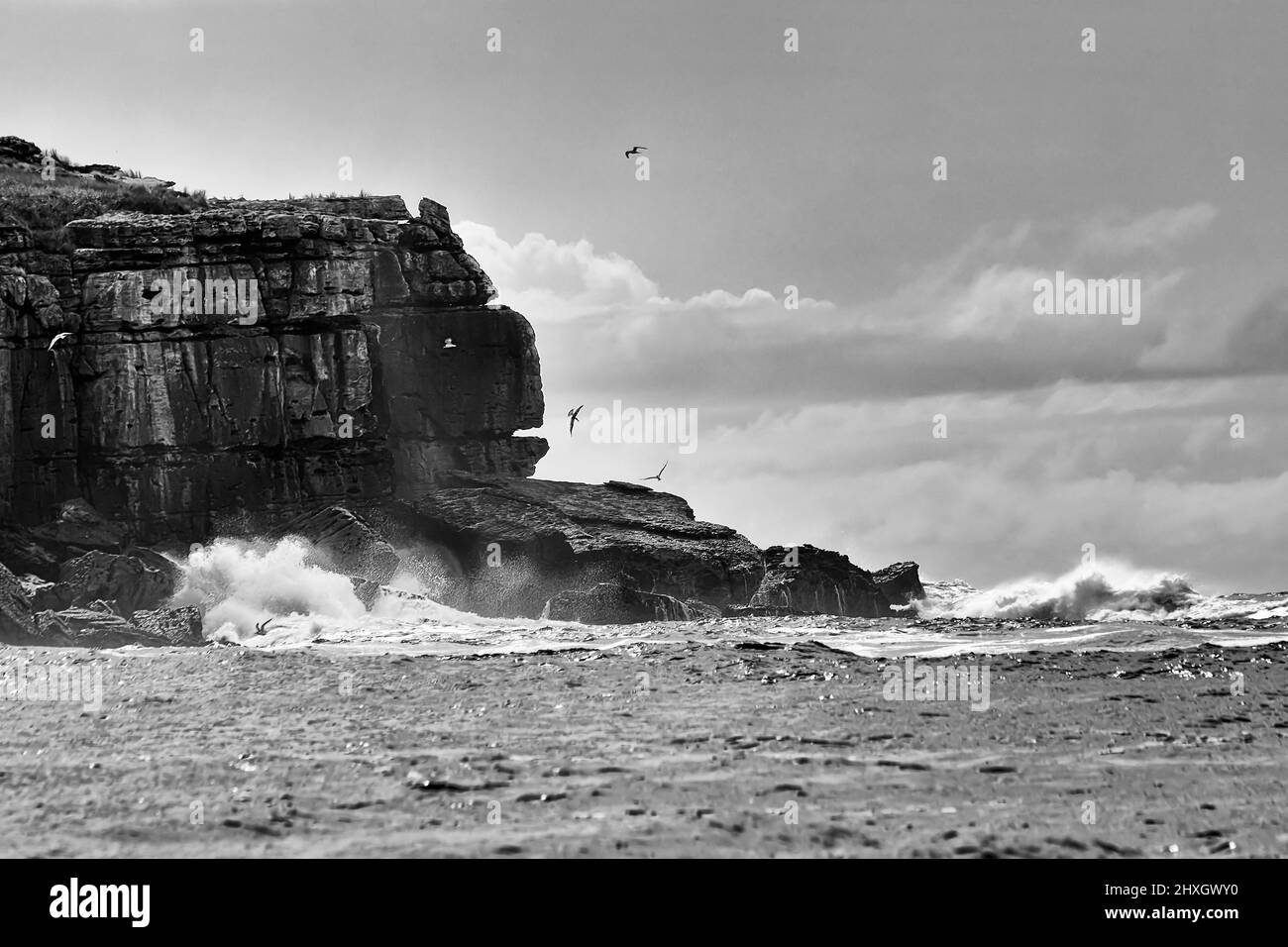 Cliffy edge of Bowen island rocks in high wind and strong waves at high tide - Australian pacific coast seascape. Stock Photo