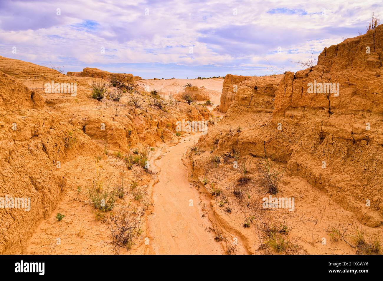 Deep low dry creek after waterways in Walls of china scenic eroded landscape of Lake Mungo, Australia. Stock Photo