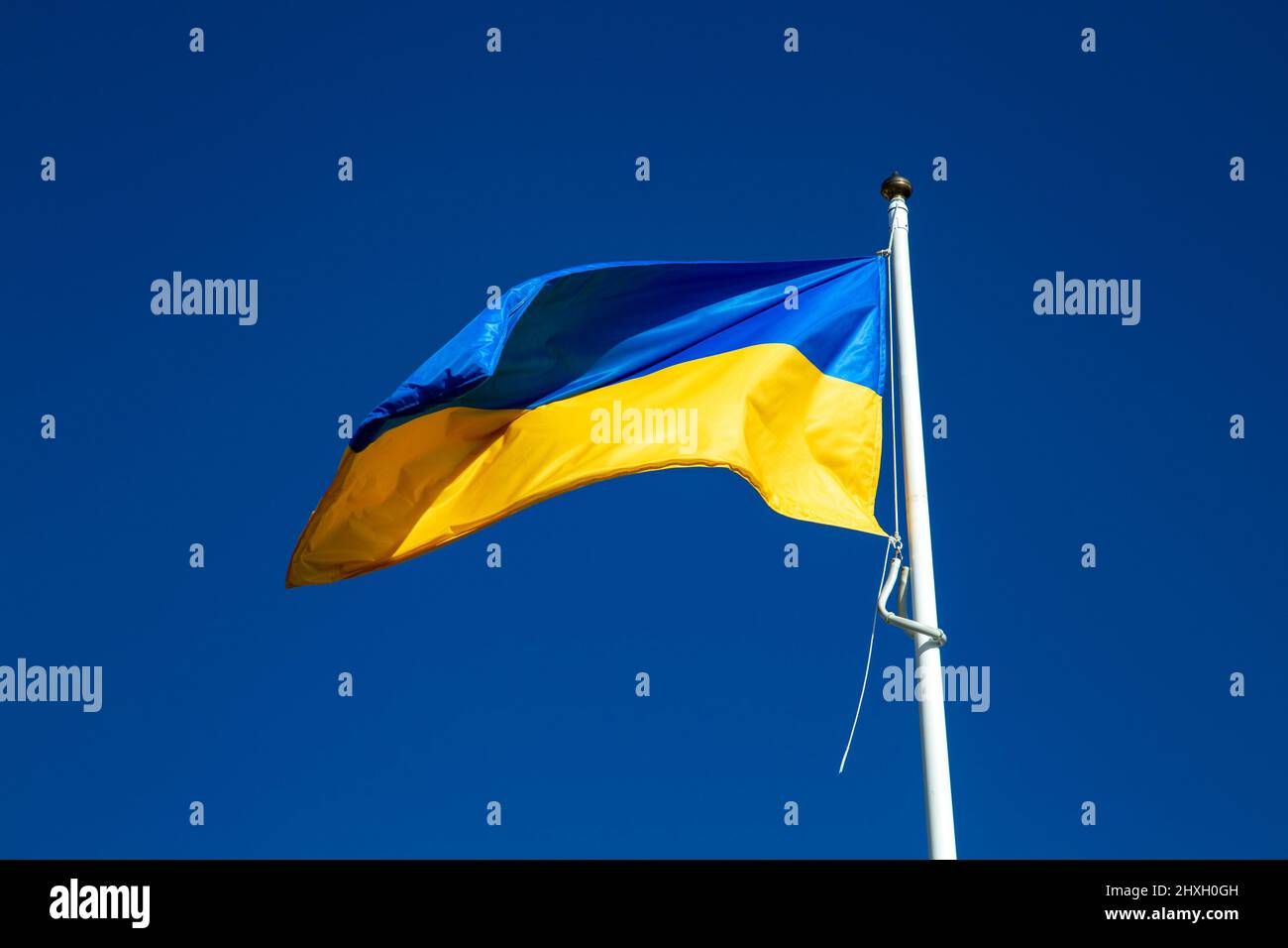 Ukrainian flag against a blue sky Stock Photo