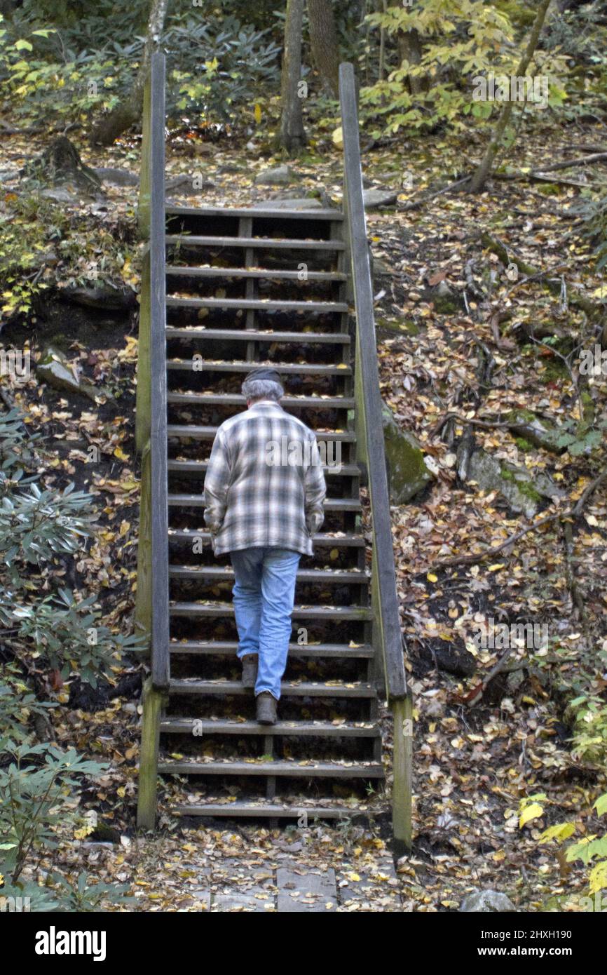 An athletic senior man out hiking in the woods finds additional execise climbing up an outdoor wooden stairway Stock Photo